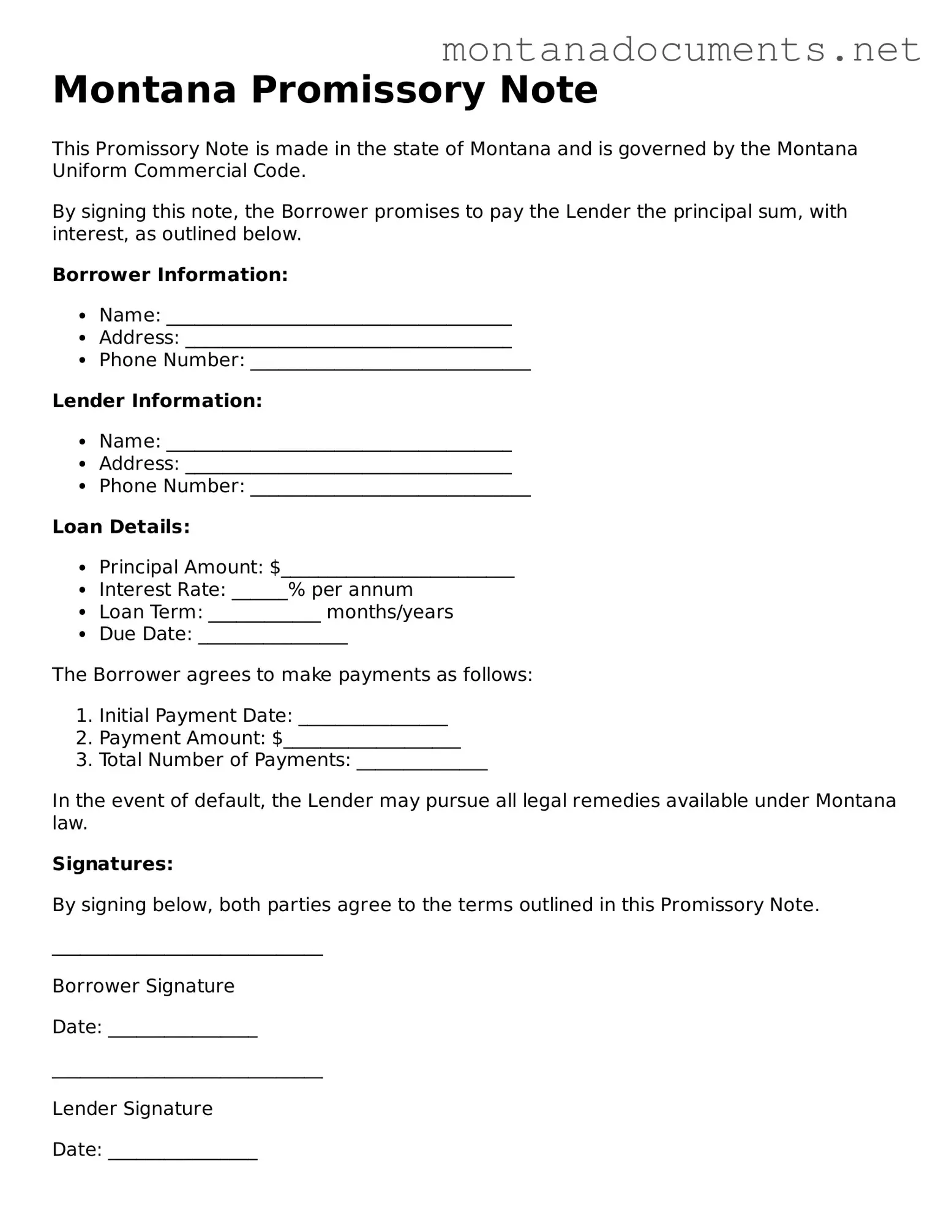 Blank Montana Promissory Note Document